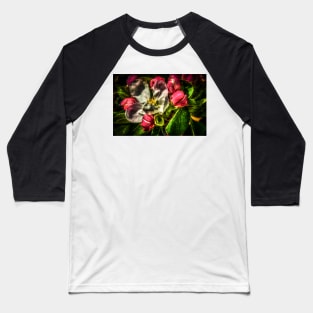 HDR Apple Blossom Baseball T-Shirt